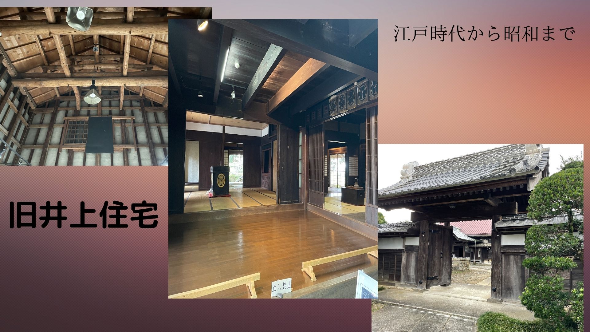 9B2419F6-7A23-4DDE-8F36-A95A908C8391