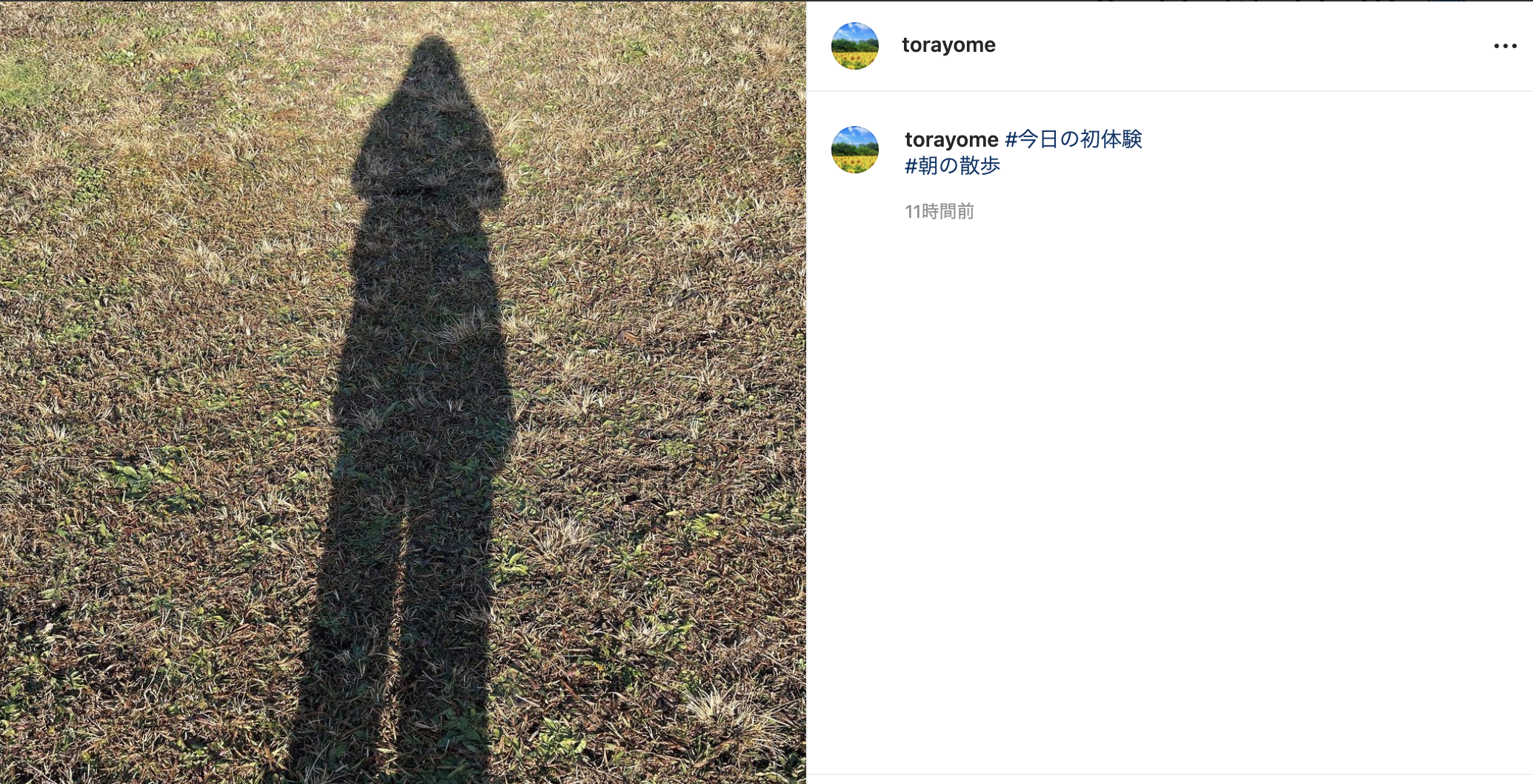 スクリーンショット 2021-12-16 19.52.50