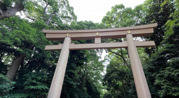 夢を現実に　経理の力で天命を引き寄せる鈴木かずこ