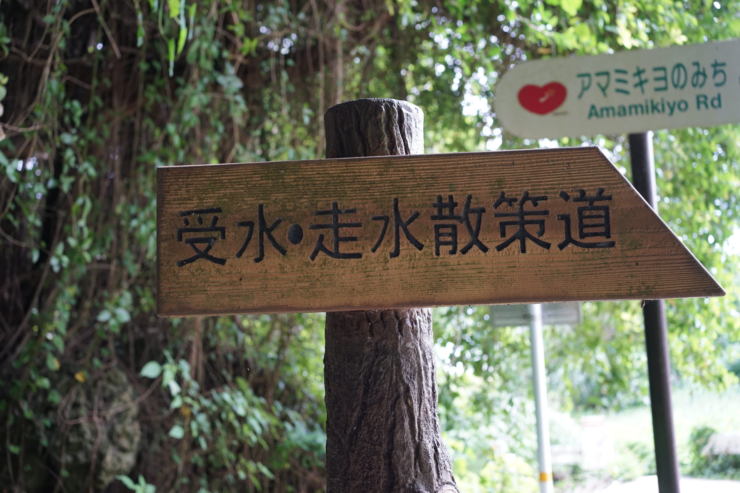 DSC00502