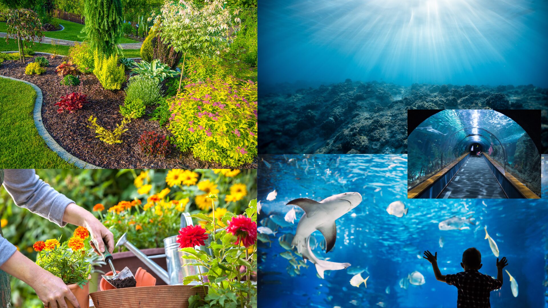 名称未設定のデザイン (2)