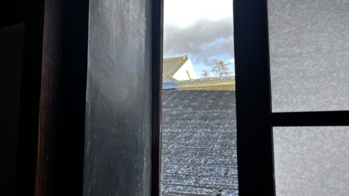 経理担当者の『見る力』は、推し活で磨かれる鈴木かずこ